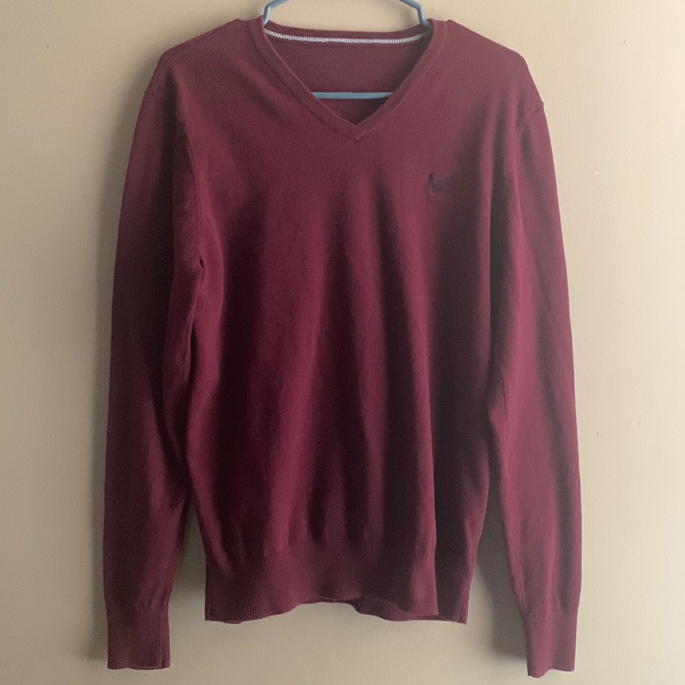 Mens American Eagle prep fit V neck sweater